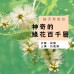 Vitas 紓適寧淋巴管理啫喱膏 100毫升